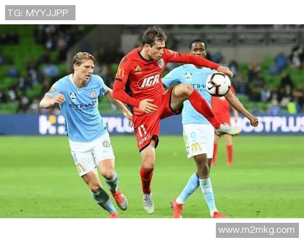 谢菲联与博尔顿激战正酣最终结果揭晓引发热议